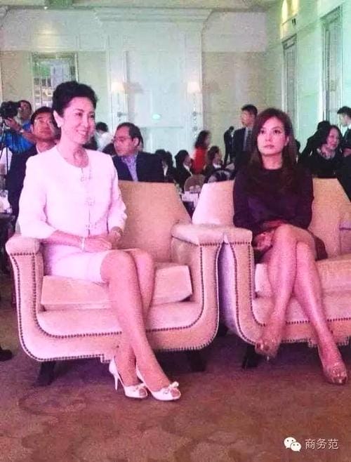 万达王健林老婆林宁 元 万达王健林老婆林宁 元