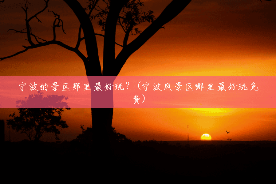 宁波的景区那里最好玩?(宁波风景区哪里最好玩免费) 宁波的景区那里最好玩?(宁波风景区哪里最好玩免费)