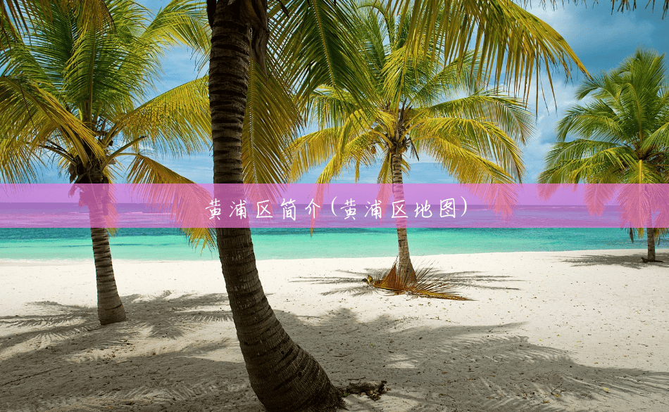 黄浦区简介(黄浦区地图) 黄浦区简介(黄浦区地图)