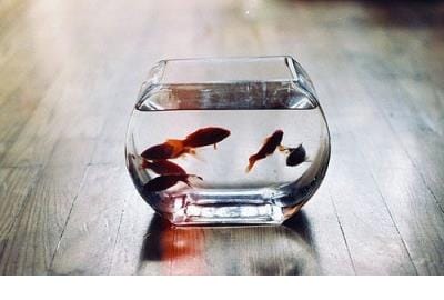 家庭温馨的句子