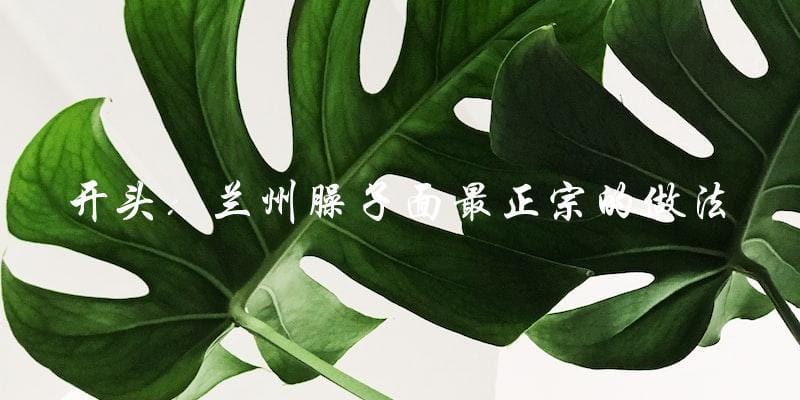 开头:兰州臊子面最正宗的做法 开头:兰州臊子面最正宗的做法
