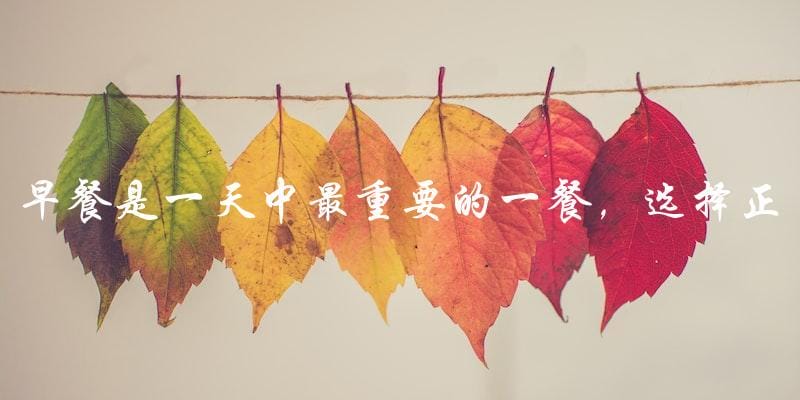 早餐是一天中最重要的一餐,选择正确的食物可以让你一整天都充满活力。以下是十种最适合早餐的食物,你不能错过! 早餐是一天中最重要的一餐,选择正确的食物可以让你一整天都充满活力。以下是十种最适合早餐的食物,你不能错过!