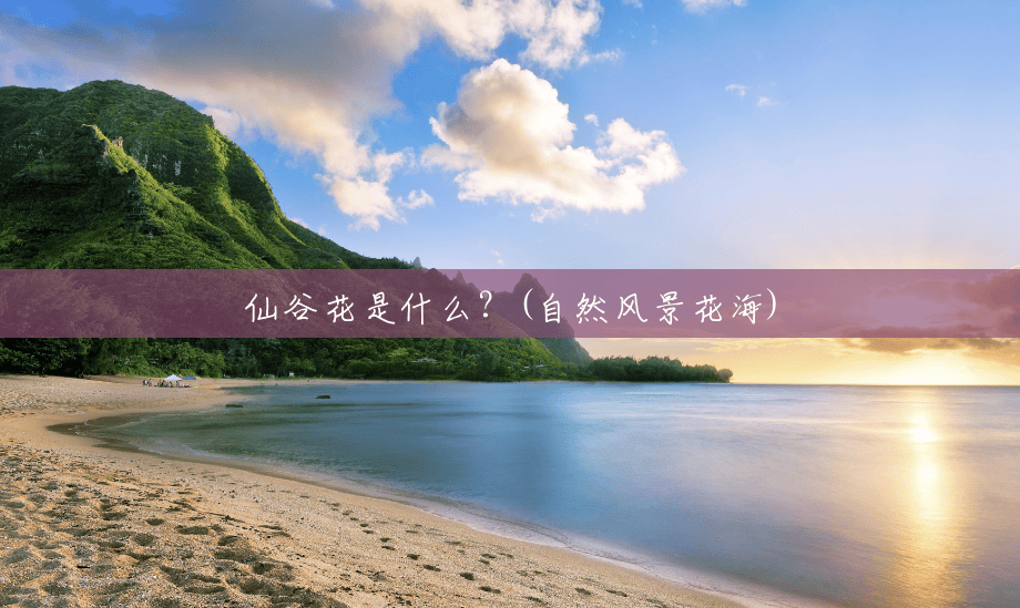 仙谷花是什么?(自然风景花海) 仙谷花是什么?(自然风景花海)