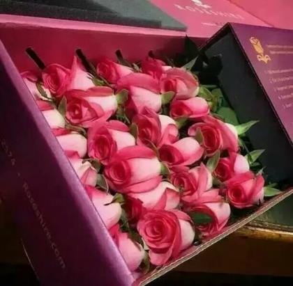 村上春树名言