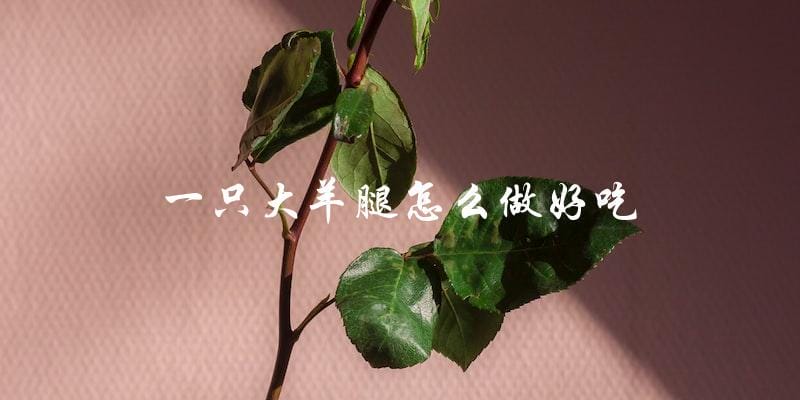 如何让一只大羊腿变得美味可口 如何让一只大羊腿变得美味可口