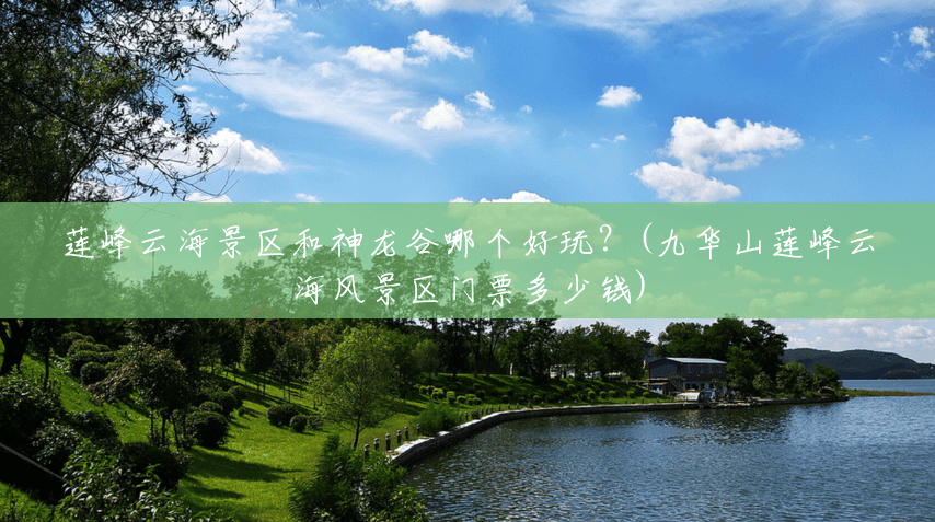 莲峰云海景区和神龙谷哪个好玩？(九华山莲峰云海风景区门票多少钱)