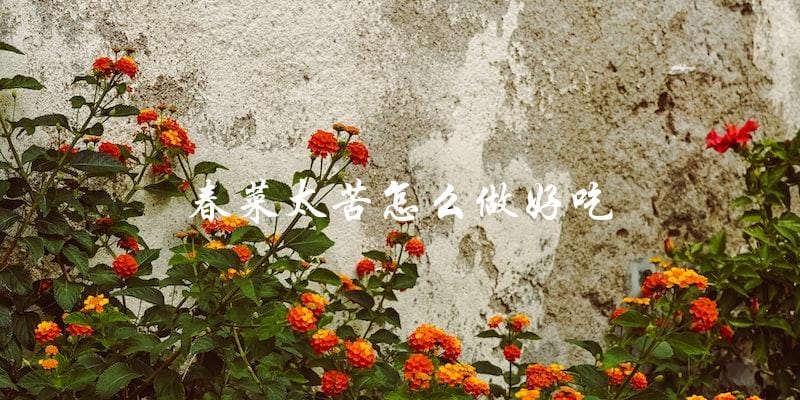 春菜太苦怎么做好吃 春菜太苦怎么做好吃