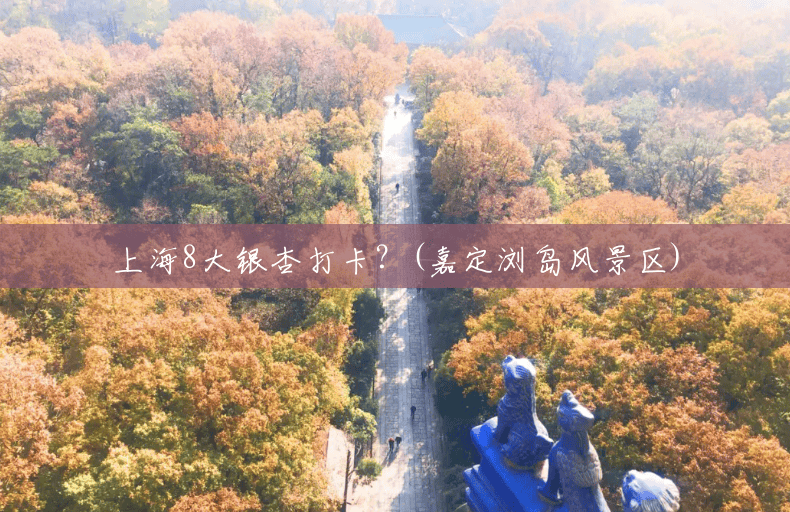 上海8大银杏打卡?(嘉定浏岛风景区) 上海8大银杏打卡?(嘉定浏岛风景区)
