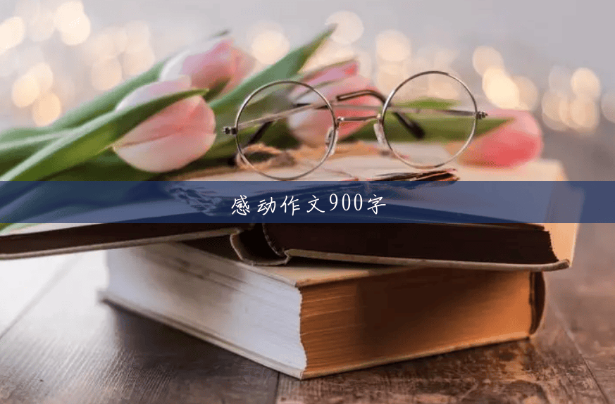 感动作文900字 感动作文900字