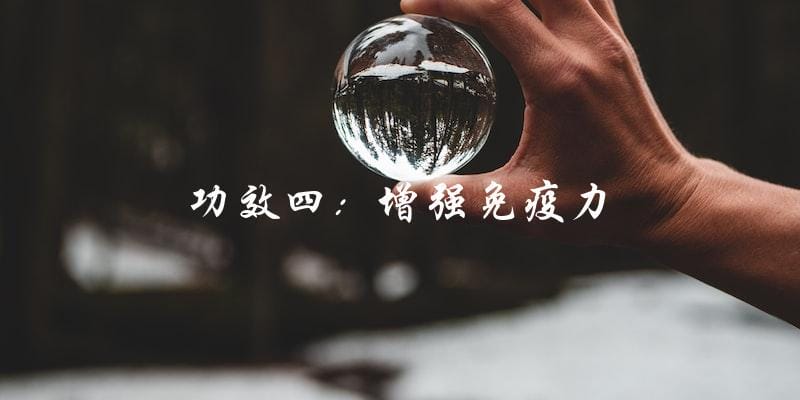 功效四:增强免疫力 功效四:增强免疫力