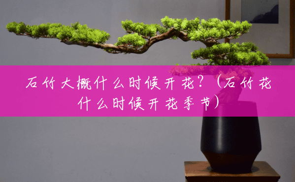 石竹大概什么时候开花?(石竹花什么时候开花季节) 石竹大概什么时候开花?(石竹花什么时候开花季节)