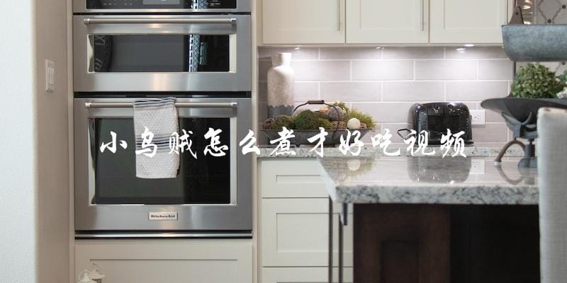 怎样煮小乌贼才能做出美味佳肴? - 视频教程 怎样煮小乌贼才能做出美味佳肴? - 视频教程