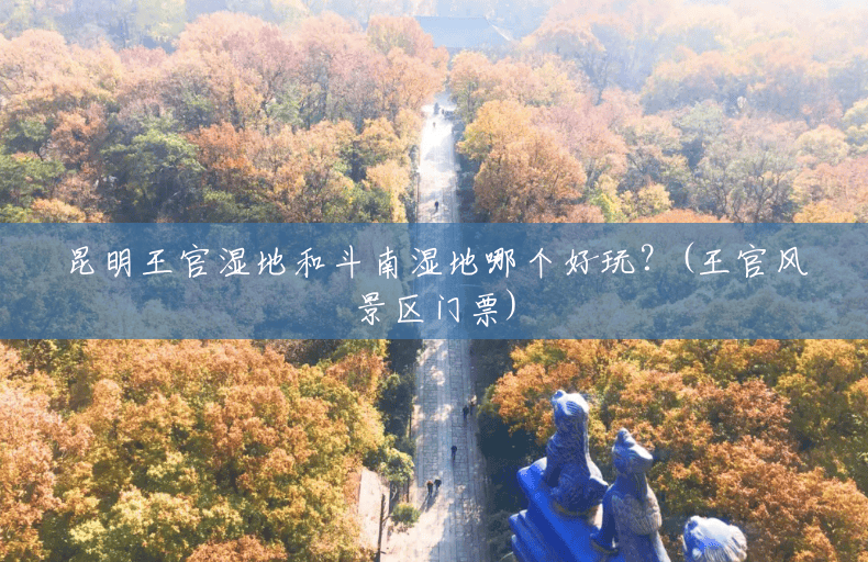 昆明王官湿地和斗南湿地哪个好玩?(王官风景区门票) 昆明王官湿地和斗南湿地哪个好玩?(王官风景区门票)