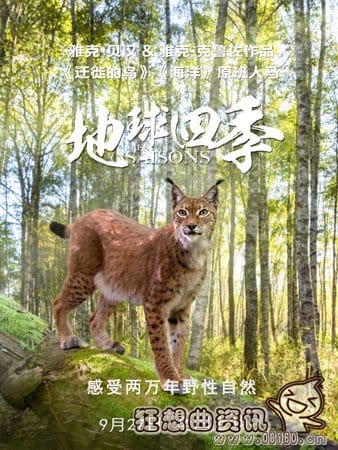 电影地球四季哪时候上映?地球四季是一部什(地球的一年四季) 电影地球四季哪时候上映?地球四季是一部什(地球的一年四季)