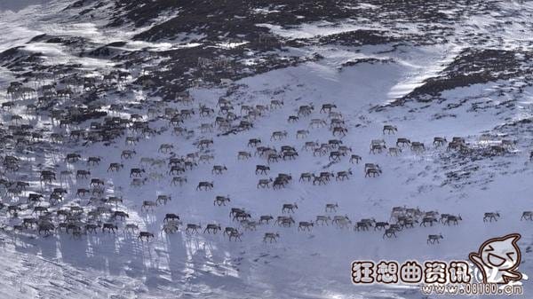 电影地球四季哪时候上映?地球四季是一部什(地球的一年四季) 电影地球四季哪时候上映?地球四季是一部什(地球的一年四季)