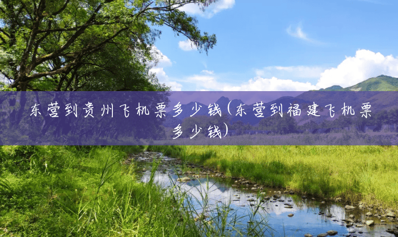 东营到贵州飞机票多少钱(东营到福建飞机票多少钱)