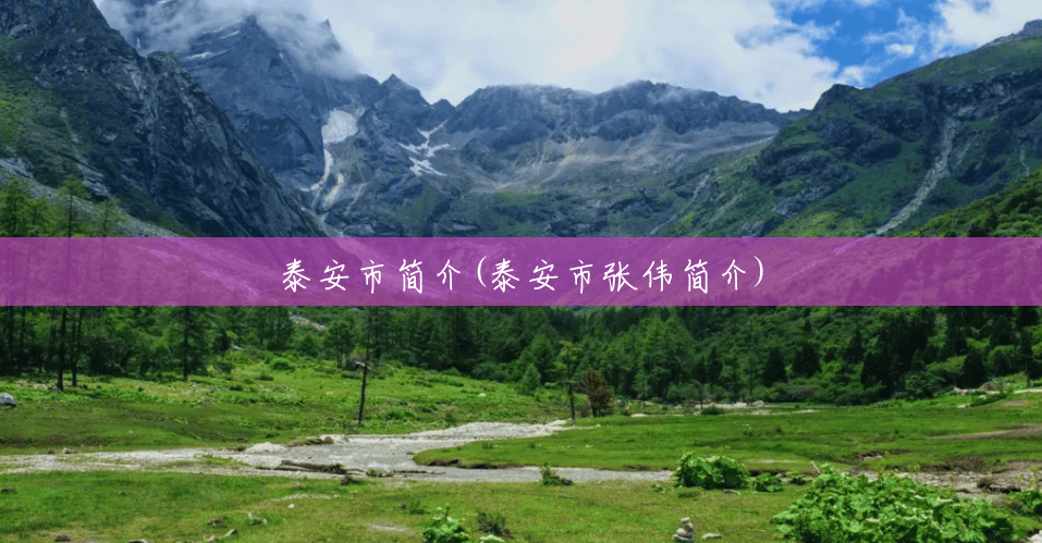 泰安市简介(泰安市张伟简介) 泰安市简介(泰安市张伟简介)