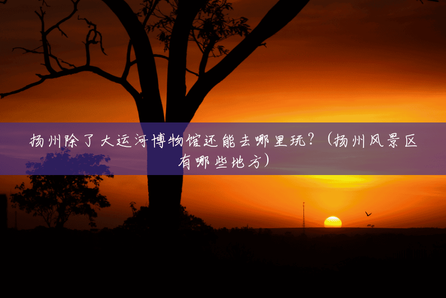 扬州除了大运河博物馆还能去哪里玩?(扬州风景区有哪些地方) 扬州除了大运河博物馆还能去哪里玩?(扬州风景区有哪些地方)