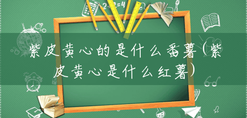 紫皮黄心的是什么番薯(紫皮黄心是什么红薯) 紫皮黄心的是什么番薯(紫皮黄心是什么红薯)