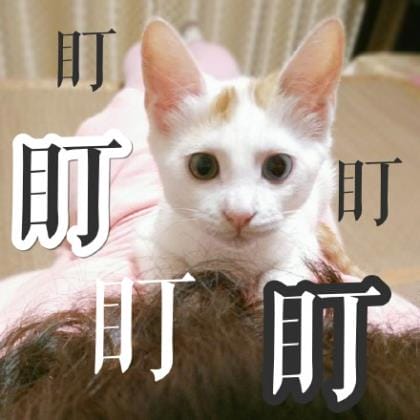 每日清晨励志一句话配图