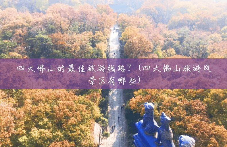 四大佛山的最佳旅游线路？(四大佛山旅游风景区有哪些)
