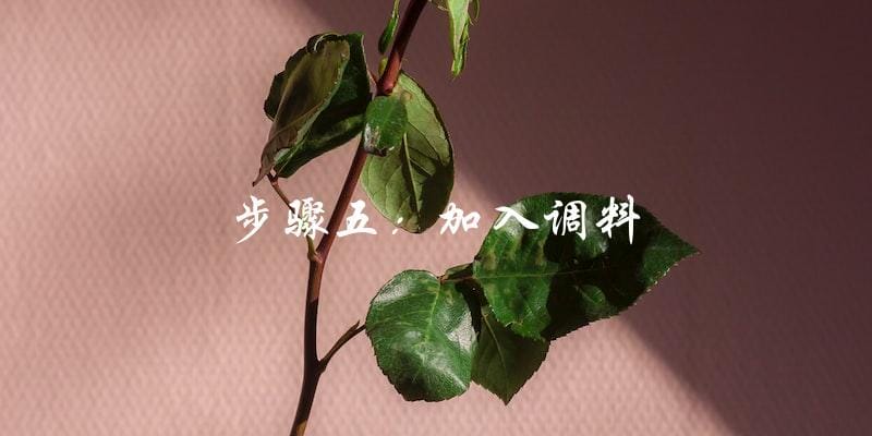 步骤五:加入调料 步骤五:加入调料