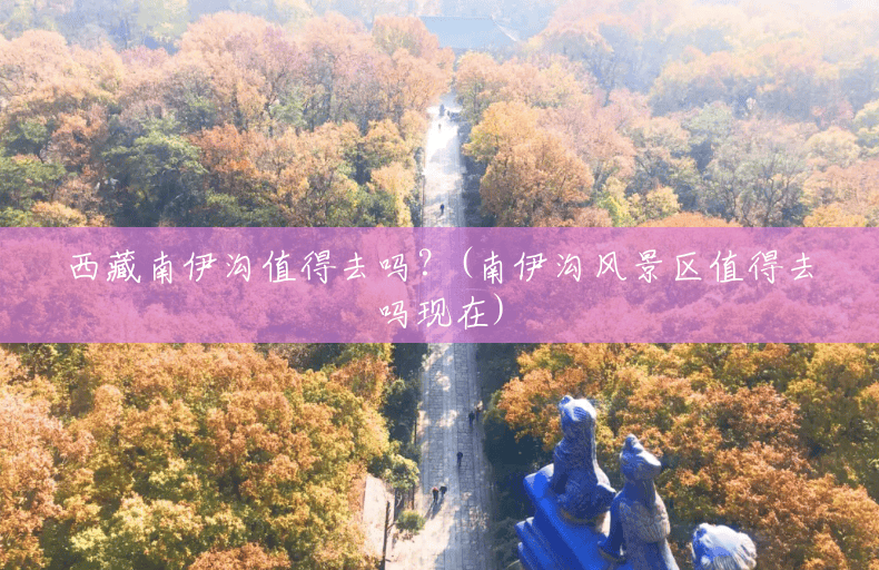西藏南伊沟值得去吗?(南伊沟风景区值得去吗现在) 西藏南伊沟值得去吗?(南伊沟风景区值得去吗现在)