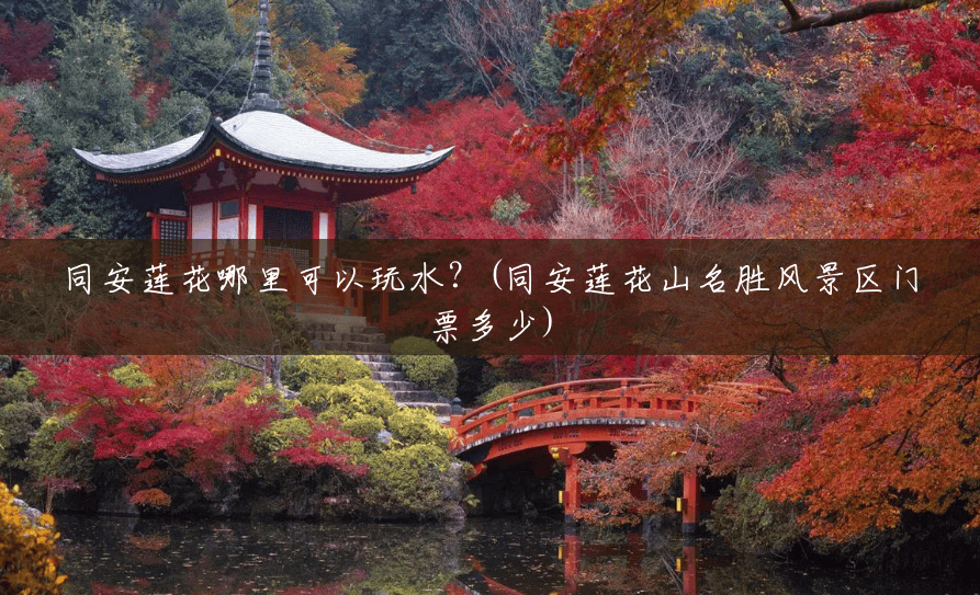 同安莲花哪里可以玩水?(同安莲花山名胜风景区门票多少) 同安莲花哪里可以玩水?(同安莲花山名胜风景区门票多少)