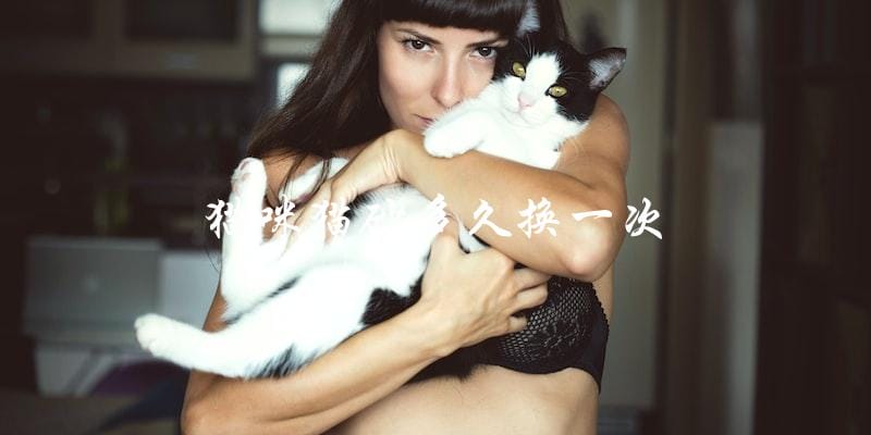 猫咪猫砂需要多久更换一次? 猫咪猫砂需要多久更换一次?