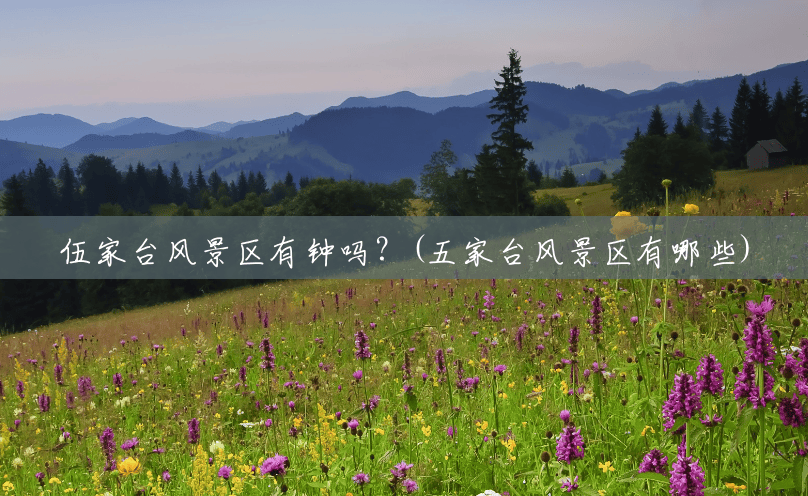 伍家台风景区有钟吗?(五家台风景区有哪些) 伍家台风景区有钟吗?(五家台风景区有哪些)