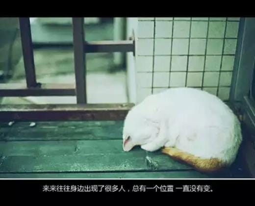 暗恋内涵句子说说心情