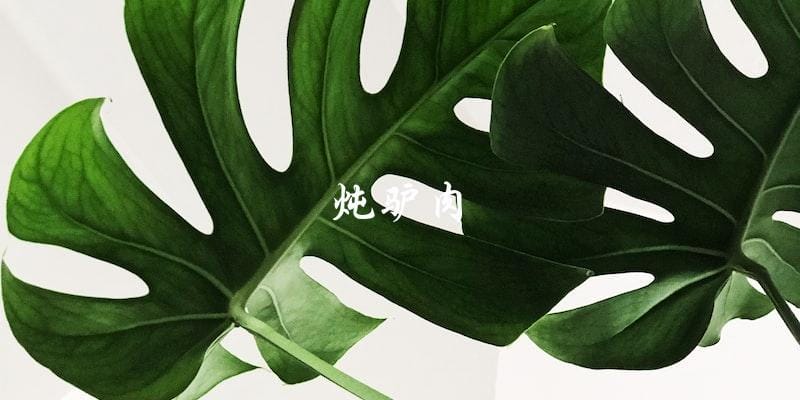 炖驴肉