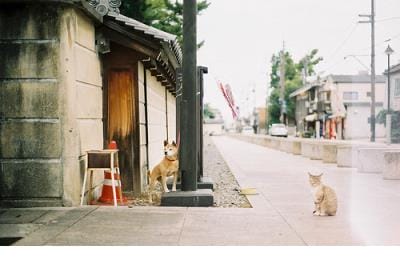 唯美伤感爱情语录