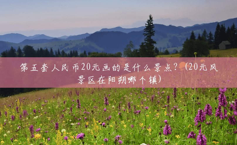 第五套人民币20元画的是什么景点？(20元风景区在阳朔哪个镇)