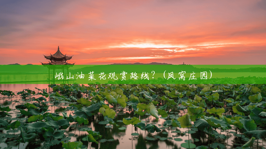 峨山油菜花观赏路线?(凤窝庄园) 峨山油菜花观赏路线?(凤窝庄园)