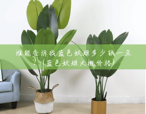 谁能告诉我蓝色妖姬多少钱一朵?(蓝色妖姬大概价格) 谁能告诉我蓝色妖姬多少钱一朵?(蓝色妖姬大概价格)