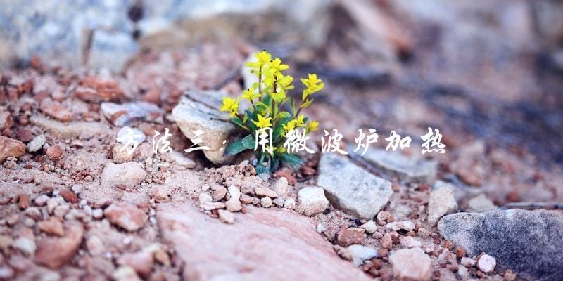 方法三：用微波炉加热