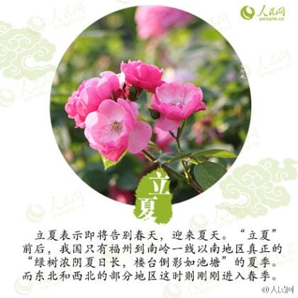 表达思念之情的谚语