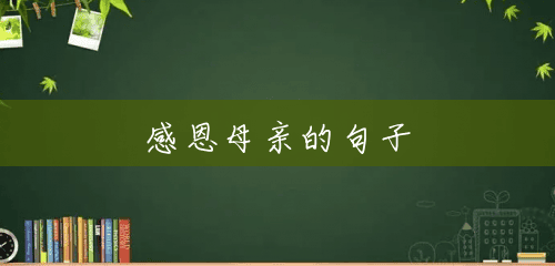 感恩母亲的句子
