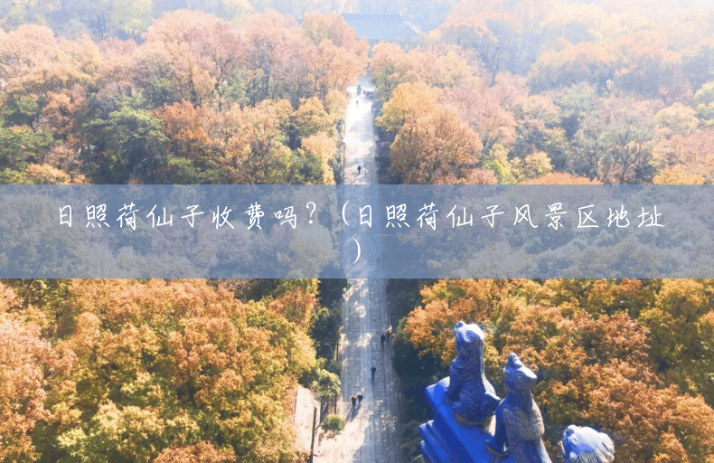 日照荷仙子收费吗?(日照荷仙子风景区地址) 日照荷仙子收费吗?(日照荷仙子风景区地址)
