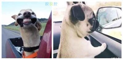 发朋友圈内涵说说