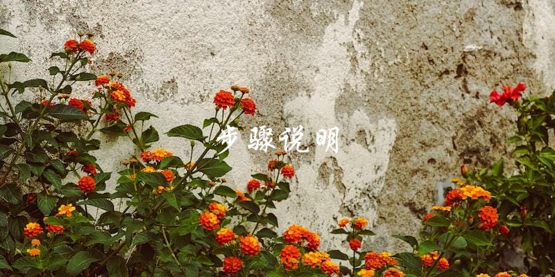步骤说明 步骤说明