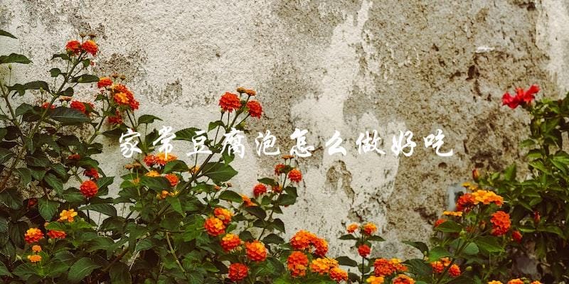 家常豆腐泡怎么做好吃 家常豆腐泡怎么做好吃