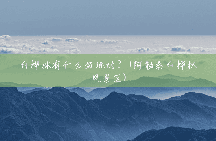 白桦林有什么好玩的？(阿勒泰白桦林风景区)