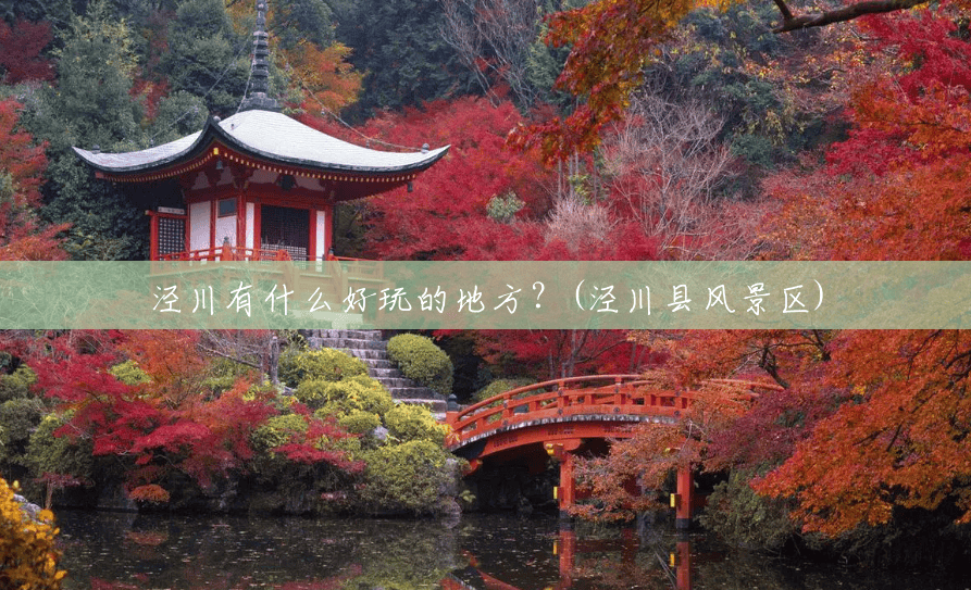 泾川有什么好玩的地方？(泾川县风景区)