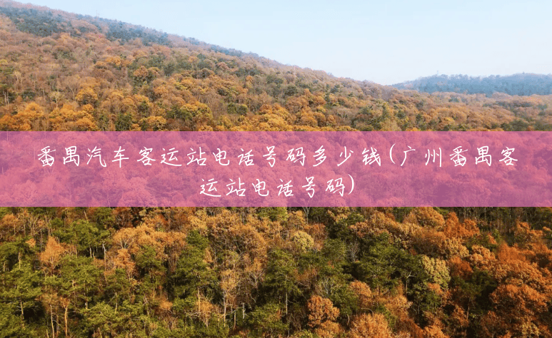 番禺汽车客运站电话号码多少钱(广州番禺客运站电话号码) 番禺汽车客运站电话号码多少钱(广州番禺客运站电话号码)