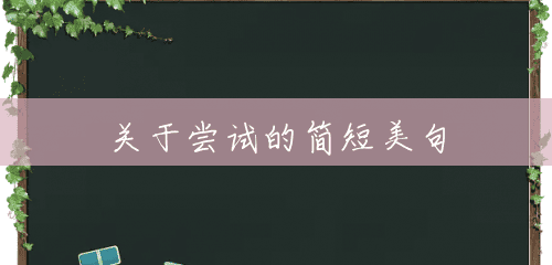 关于尝试的简短美句 关于尝试的简短美句