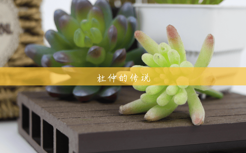杜仲的传说 杜仲的传说