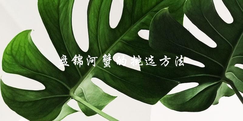 盘锦河蟹的挑选方法 盘锦河蟹的挑选方法