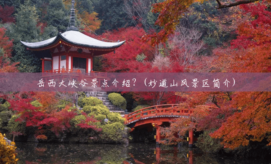 岳西大峡谷景点介绍?(妙道山风景区简介) 岳西大峡谷景点介绍?(妙道山风景区简介)